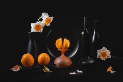 Elegancka martwa natura z cytrusami autorstwa Lydia Jacobs