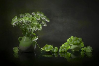 Elegancka zielona martwa natura autorstwa Lydia Jacobs