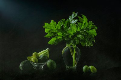 Bujna botaniczna martwa natura autorstwa Lydia Jacobs