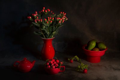 Nastrojowa czerwona martwa natura autorstwa Lydia Jacobs
