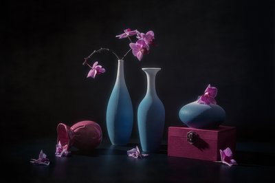 Różowe orchidee i wazony autorstwa Lydia Jacobs