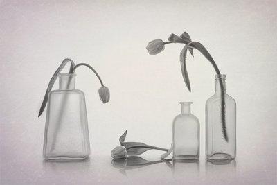Spokojna martwa natura z tulipanami autorstwa Lydia Jacobs