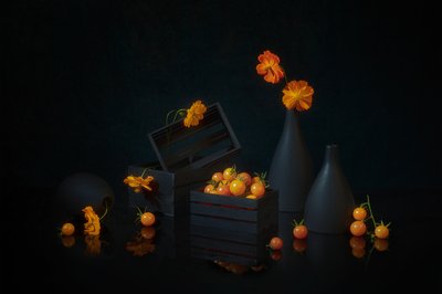 Żywa martwa natura żniwna autorstwa Lydia Jacobs