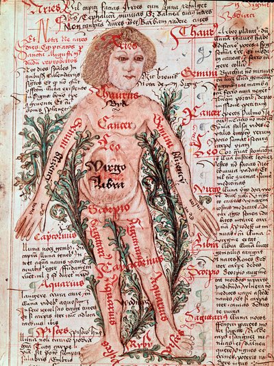 Medycyna: wpływ zodiaku na choroby człowieka (Miniatura autorstwa M Albik
