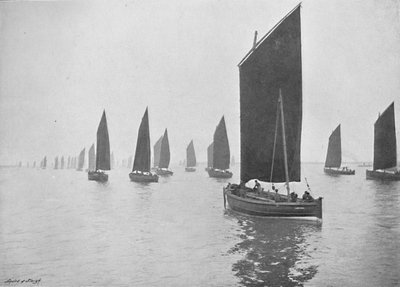 Łódki śledziowe u wybrzeży Tyne, ok. 1896 r. autorstwa M. Aunty