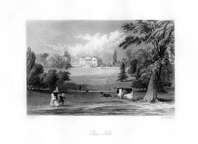 Pains Hill, Surrey, XIX wiek. autorstwa M. J. Starling