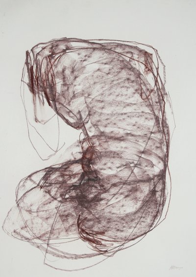 Torso 5, 2022 (węgiel na papierze) autorstwa Madgalena Morey