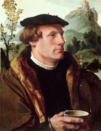 Portret dżentelmena autorstwa Maerten van Heemskerck