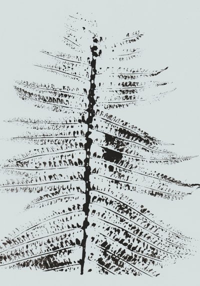 Black Ink Fern autorstwa Maira Ribena