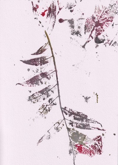 Wrażenia z Dark Leaf autorstwa Maira Ribena