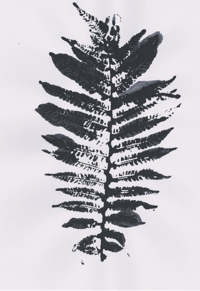Elegancki liść Fern autorstwa Maira Ribena