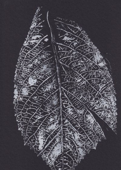 Monochromatyczny wzór liści autorstwa Maira Ribena