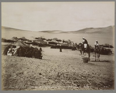Obóz z namiotami i wielbłądami na pustyni (przypuszczalnie) Egiptu Scene du desert: Arrivée de chameliers à un campement de tribu. (tytuł na obiekcie) autorstwa Maison Bonfils
