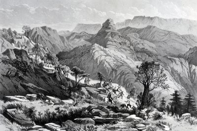 W marszu w pobliżu Dongolo, grawerowane przez Jamesa Fergusona, 1868 autorstwa Major A.G.F. Hogg