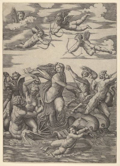Galatea stojąca w wodnym rydwanie ciągniętym przez dwa delfiny, otoczona trytonami, nere..., 1515-16. autorstwa Marcantonio Raimondi