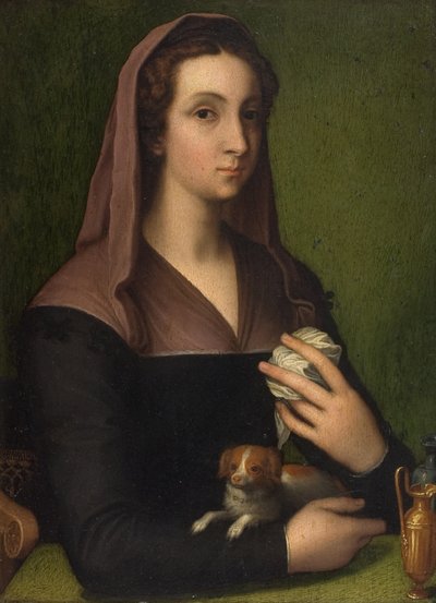 Portret damy (olej na desce) autorstwa Marcello (follower of) Venusti