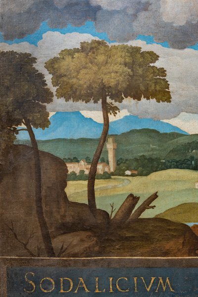 Szczegóły miasta Vicenza autorstwa Marcello Fogolino