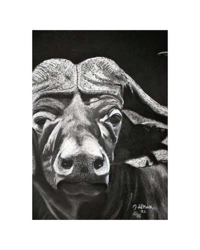 Buffalo autorstwa Marchelle de Kock