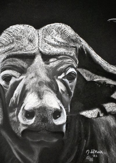 Buffalo autorstwa Marchelle de Kock