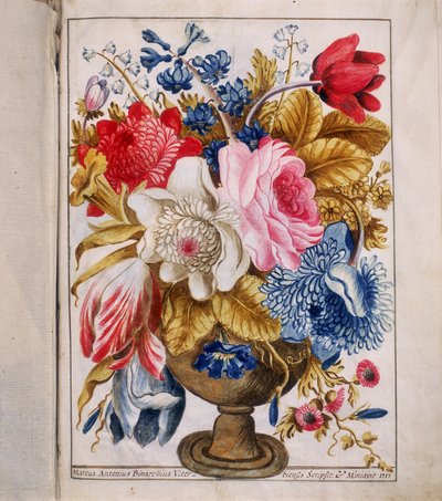 Iluminacja z „Buli Agregazione auta della Venerabile Archiconfraternita di San Rocco w Rzymie autorstwa Marco Antonio Binarelli