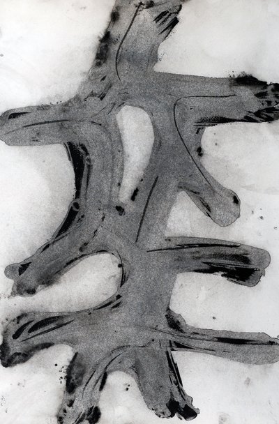 Ramas, 2014 (tusz na papierze) autorstwa Marco Campedelli