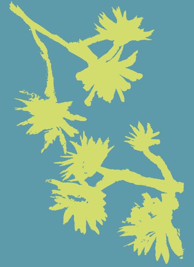 Succulent_2, 2022 (tusz na papierze) autorstwa Marco Campedelli