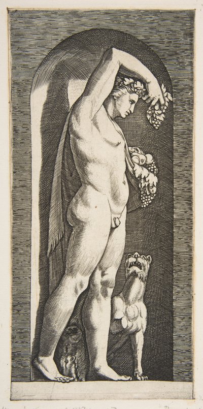 Bachus stojący w niszy trzymający winogrona w uniesionej prawej ręce, owoce w swojej l..., ca. 1515-27. autorstwa Marco Dente