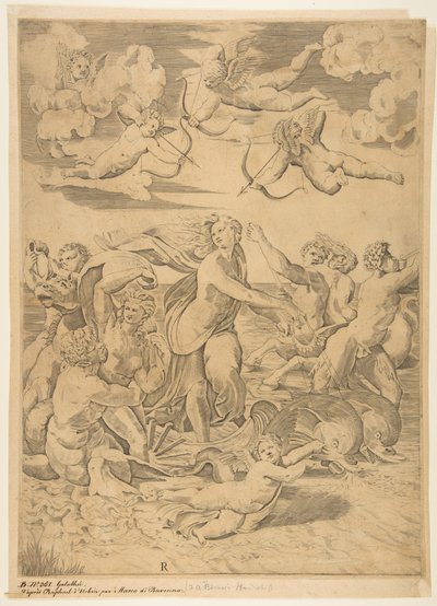 Galatea jadąca w muszli ciągniętej przez delfiny w wodzie, amorek poniżej i f..., ca. 1515-27. autorstwa Marco Dente