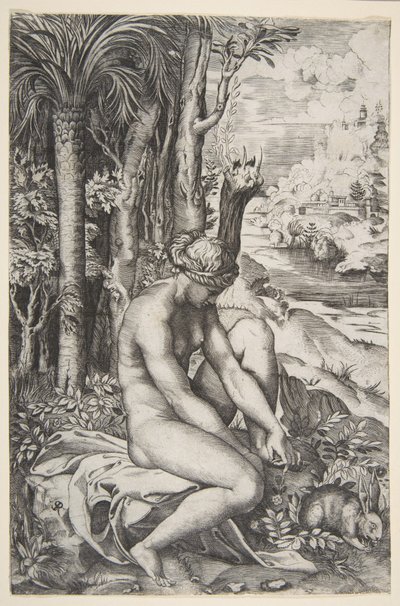 Wenus usuwa cierń z lewej stopy siedząc na obrusie obok drzew, a..., ca. 1515-27. autorstwa Marco Dente
