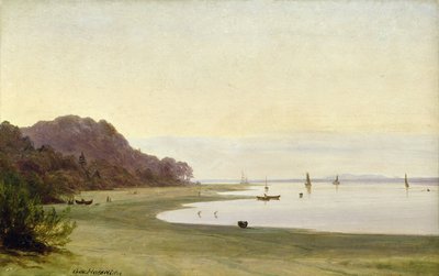 Brzeg Łaby (olej na papierze zamontowany na pokładzie) autorstwa Marcus Johann Haeselich