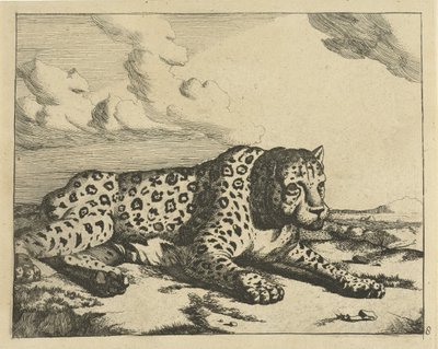 Leopard leżący po prawej, łapy do widza Lamparty (tytuł serii) autorstwa Marcus de Bye