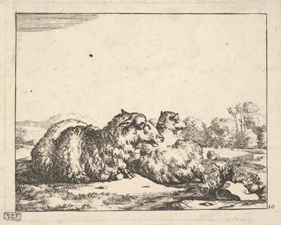 Owce, z zestawu 16 talerzy, 1664. autorstwa Marcus de Bye