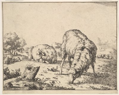 Owce, z zestawu 16 talerzy, 1664. autorstwa Marcus de Bye