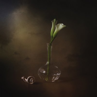 Eleganckie lilie calla autorstwa Margaret Halaby