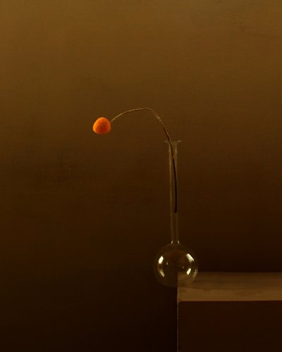 Minimalistyczny pomarańczowy kwiat autorstwa Margaret Halaby