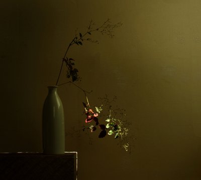 Nastrojowa martwa natura botaniczna autorstwa Margaret Halaby