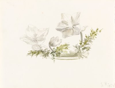 Studium kompozycji kwiatowej (grafit, akwarela) autorstwa Margaret Louisa Herschel