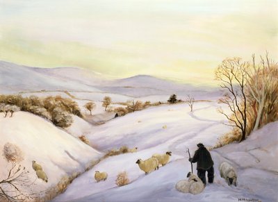 Owce na grzbiecie autorstwa Margaret Loxton