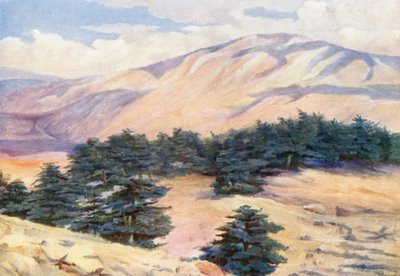 Widok ogólny na Cedry i Dehr el Kodib (kolorowa litografia) autorstwa Margaret Thomas