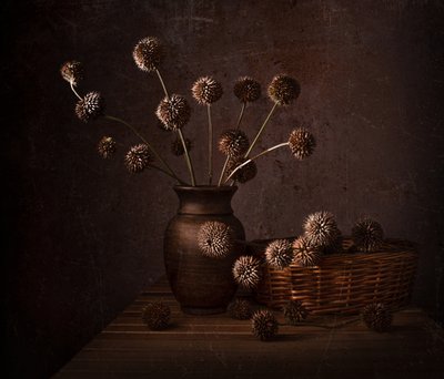 Suszone kwiaty w naturalnych odcieniach autorstwa Margareth Perfoncio