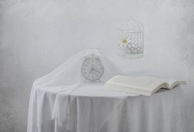 Książka „Serene Clock” – klatka dla ptaków autorstwa Margareth Perfoncio