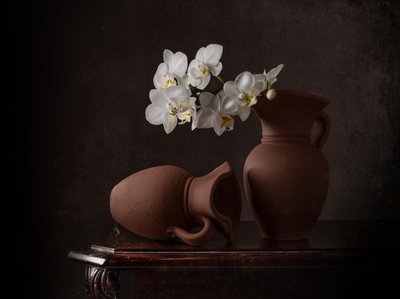 Martwa natura z białymi orchideami autorstwa Margareth Perfoncio