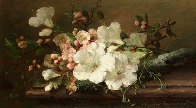 Margaretha Roosenboom - Martwa natura z kwiatem autorstwa Margaretha Roosenboom