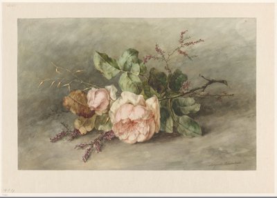 róże autorstwa Margaretha Roosenboom