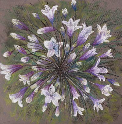 Rodzina Allium, 2020 (pastel) autorstwa Margo Starkey