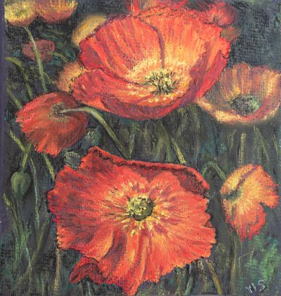 Pierwsze maki, 2020 (pastel) autorstwa Margo Starkey