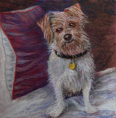 Mój piesek na jedwabnej poduszce, 2020 (pastel) autorstwa Margo Starkey