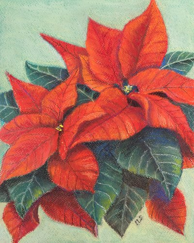 Poinsecja, 2022 (pastel) autorstwa Margo Starkey