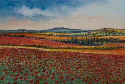Pola makowe...Flandria, 2020 (pastel) autorstwa Margo Starkey