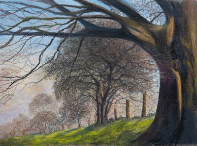 Drzewa wiatrem...Shroesbury, 2020 (pastel) autorstwa Margo Starkey
